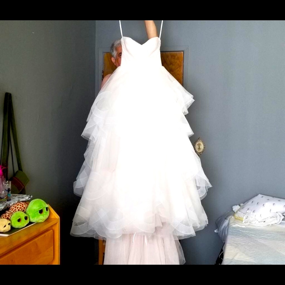Wedding dress with vail